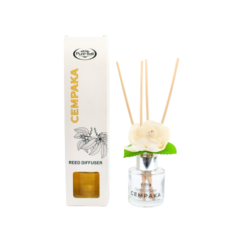 18a-removebg-preview