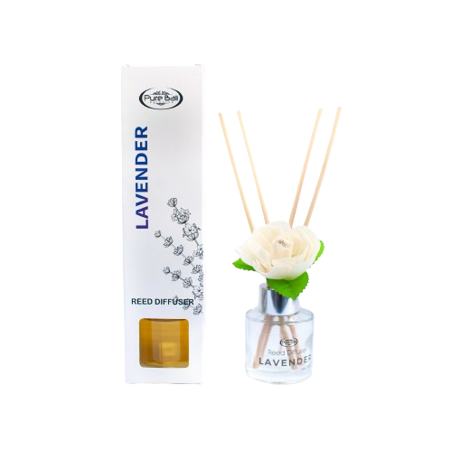 19b-removebg-preview