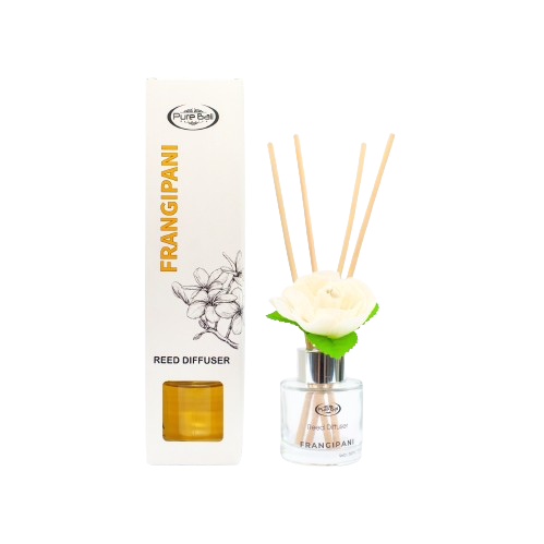 24a-removebg-preview