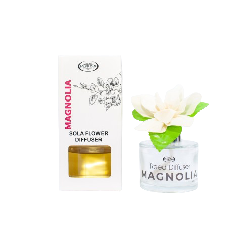 27a-removebg-preview