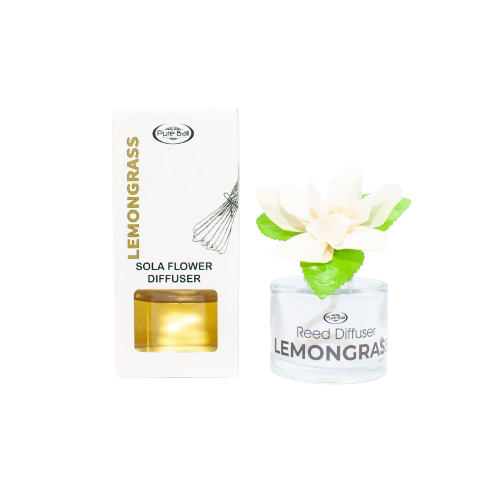 29a-removebg-preview